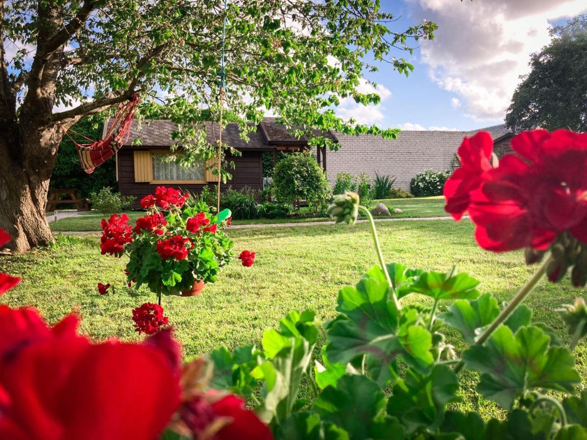 Viesu Maja"Ordzinas" Villa Pavilosta Luaran gambar